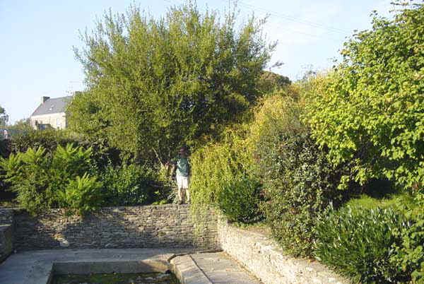 Tarzan recherche "Jane "dsesperemment